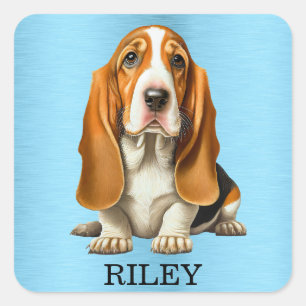 Hond, Basset Hound Portrait Sjabloon Vierkante Sticker