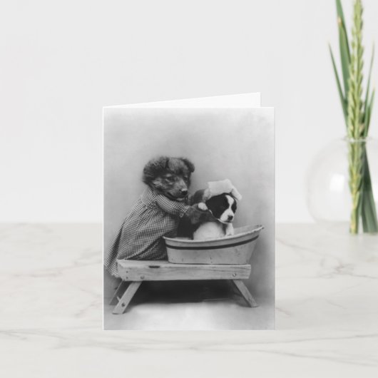 Hond Bathing Dog Kaart (Voorkant)