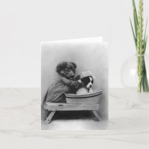 Hond Bathing Dog Kaart