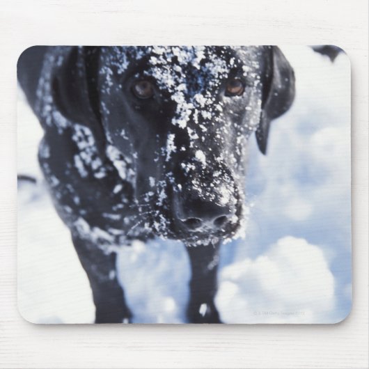 Hond bedekt met sneeuw muismat (Voorkant)
