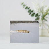 Hond begraven in sneeuw briefkaart (Staand voorkant)