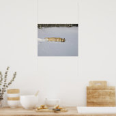 Hond begraven in sneeuw poster (Keuken)