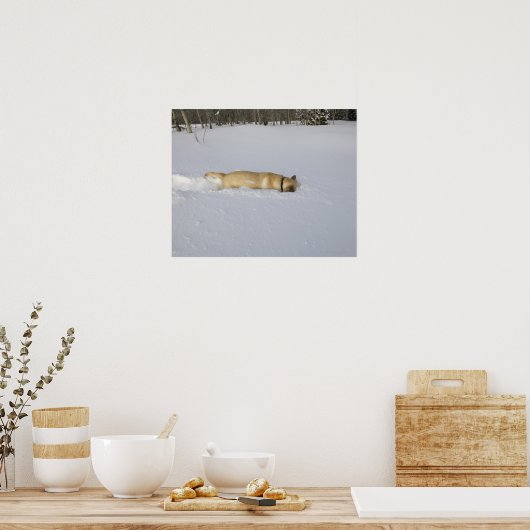 Hond begraven in sneeuw poster (Keuken)