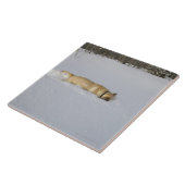 Hond begraven in sneeuw tegeltje (Zijkant)