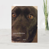 Hond ben ik Droevig Wenskaart Kaart (Achterkant)