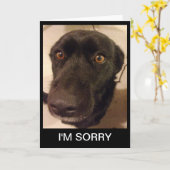 Hond ben ik Droevig Wenskaart Kaart (Gele Bloem)