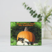 Hond beschermt grote pompoen briefkaart (Staand voorkant)