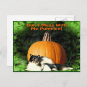 Hond beschermt grote pompoen briefkaart (Voorkant / Achterkant)