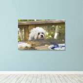 Hond bij picknicktafel canvas afdruk (Insitu (Houten vloer))