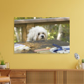 Hond bij picknicktafel canvas afdruk (Insitu (Woonkamer))