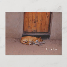 Hond bij Rest Briefkaart