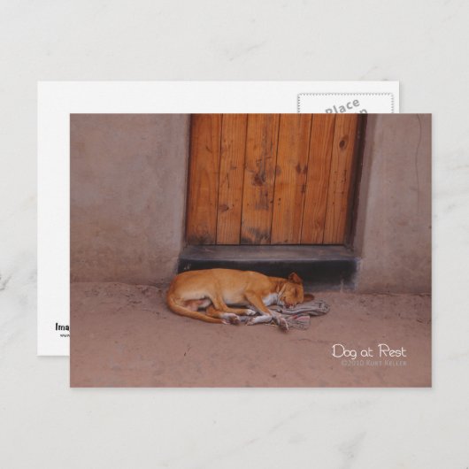 Hond bij Rest Briefkaart (Voorkant / Achterkant)