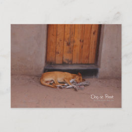 Hond bij Rest Briefkaart