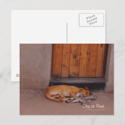 Hond bij Rest Briefkaart (Voorkant / Achterkant)