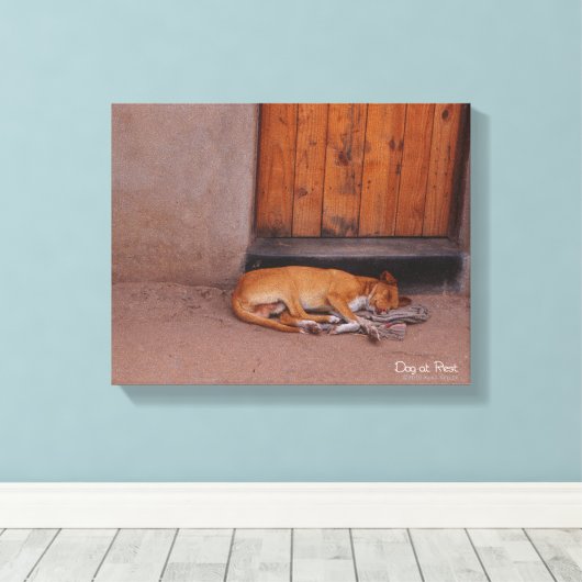 Hond bij Rest Canvas Afdruk (Insitu (Houten vloer))