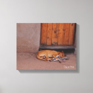 Hond bij Rest Canvas Afdruk