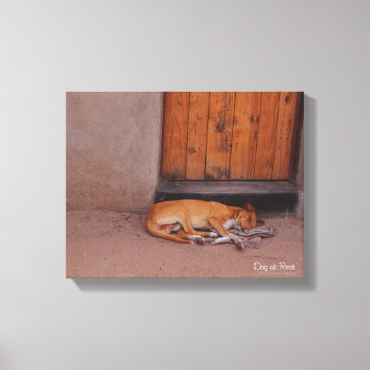 Hond bij Rest Canvas Afdruk (Voorkant)