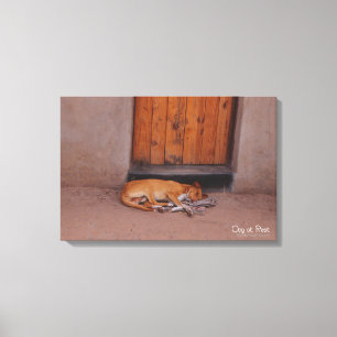 Hond bij Rest Canvas Afdruk