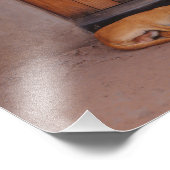 Hond bij Rest Foto Afdruk (Hoek)