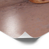 Hond bij Rest Foto Afdruk (Hoek)