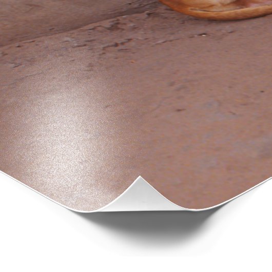 Hond bij Rest Foto Afdruk (Hoek)