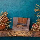 Hond bij Rest Fotoplaat (Zijkant)