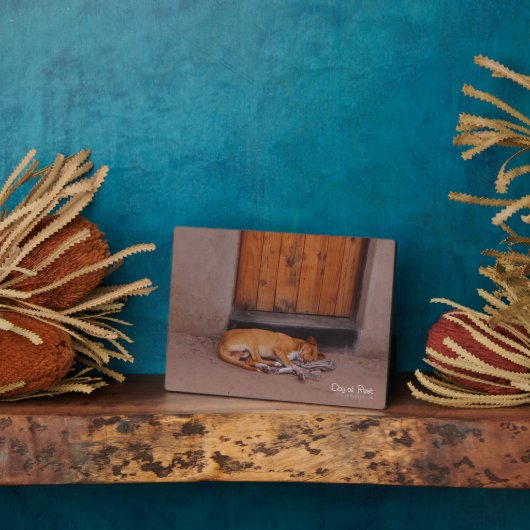 Hond bij Rest Fotoplaat (Zijkant)