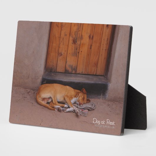 Hond bij Rest Fotoplaat (Zijkant)