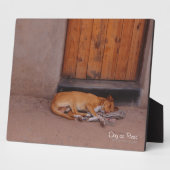 Hond bij Rest Fotoplaat (Zijkant)