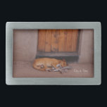 Hond bij Rest Gesp<br><div class="desc">De hond op de Natuur Rest Foto prints en cadeaus hebben een prachtige foto van een bruine hond die voor een modderhut met een oranje deur in Afrika slaapt en die in de namiddag door Kurt Keller is ingenomen terwijl hij op een Afrikaanse safari ligt. Iedereen die van dieren, honden,...</div>