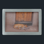 Hond bij Rest Gesp<br><div class="desc">De hond op de Natuur Rest Foto prints en cadeaus hebben een prachtige foto van een bruine hond die voor een modderhut met een oranje deur in Afrika slaapt en die in de namiddag door Kurt Keller is ingenomen terwijl hij op een Afrikaanse safari ligt. Iedereen die van dieren, honden,...</div>