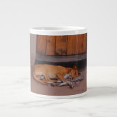 Hond bij Rest Grote Koffiekop (Voorkant)