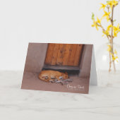 Hond bij Rest Kaart (Gele Bloem)