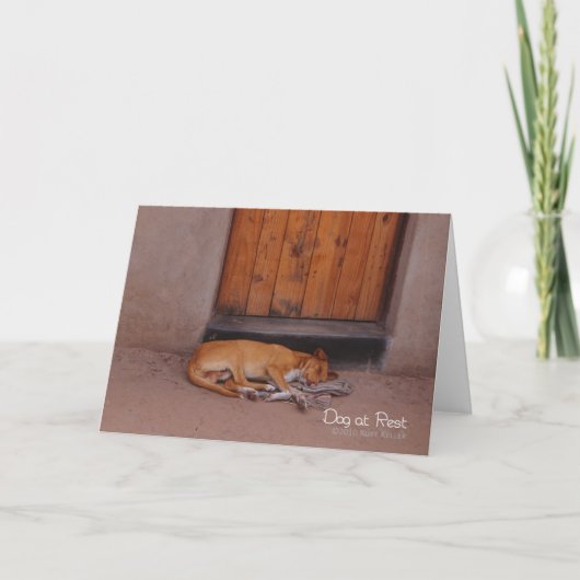 Hond bij Rest Kaart (Voorkant)