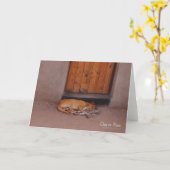 Hond bij Rest Kaart (Gele Bloem)