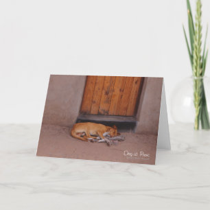 Hond bij Rest Kaart