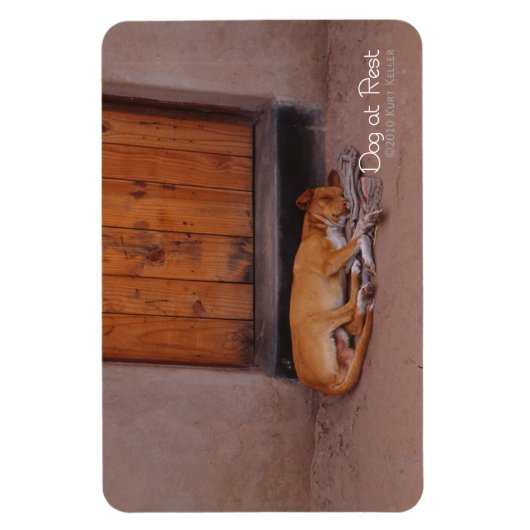 Hond bij Rest Magneet (Verticaal)