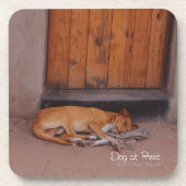 Hond bij Rest Onderzetter (Voorkant)