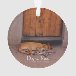 Hond bij Rest Ornament