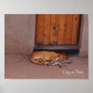 Hond bij Rest Poster