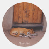 Hond bij Rest Round Stickers (Voorkant)