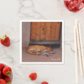 Hond bij Rest Servet (Insitu)