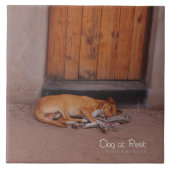 Hond bij Rest Tegeltje (Voorkant)