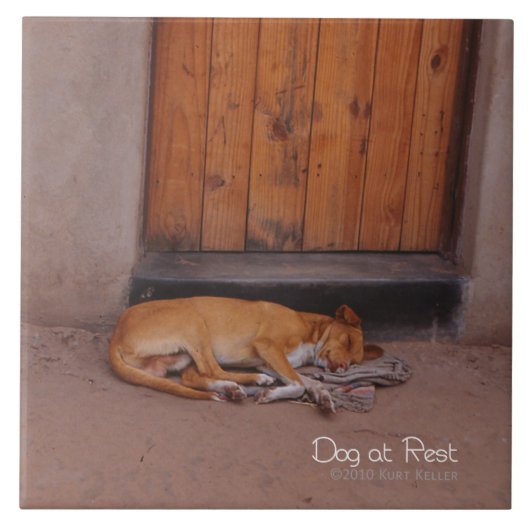 Hond bij Rest Tegeltje (Voorkant)