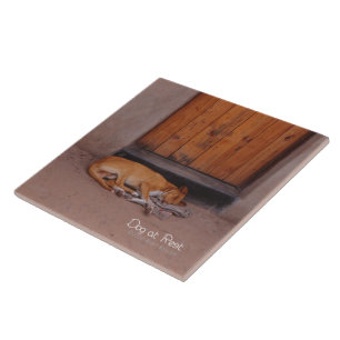 Hond bij Rest Tegeltje