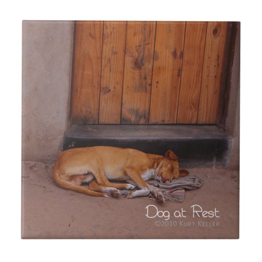 Hond bij Rest Tegeltje (Voorkant)