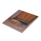 Hond bij Rest Tegeltje (Zijkant)