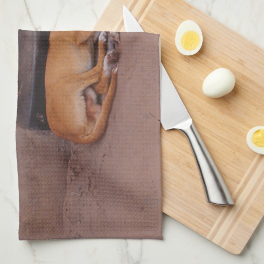 Hond bij Rest Theedoek (Quarter Fold)