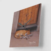 Hond bij Rest Vierkante Klok (Hoek)