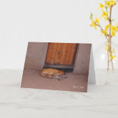 Hond bij Rest Wenskaart Kaart (Gele Bloem)